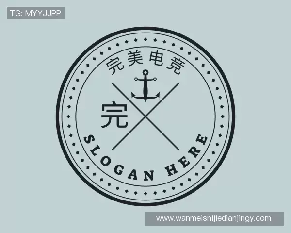 关于完美电竞